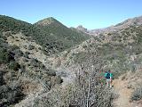 Upper Rogers Canyon